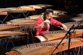 10.25.2014 Alice Guzheng Ensemble 12th Annual Performance at James Lee Community Theater, VA (13)